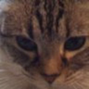 Meet your Posher, Jessi